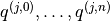 q^{(j,0)}, \dotsc, q^{(j,n)}