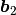 \boldsymbol{b}_2